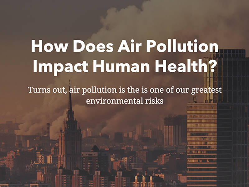 How Does Air Pollution Impact Human Health?