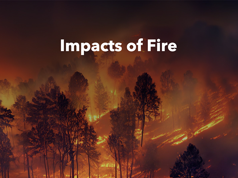 Impacts of Fire